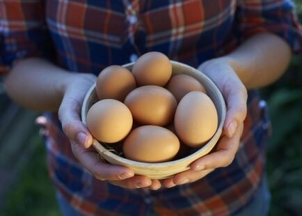 Τα οφέλη των αυγών κοτόπουλου